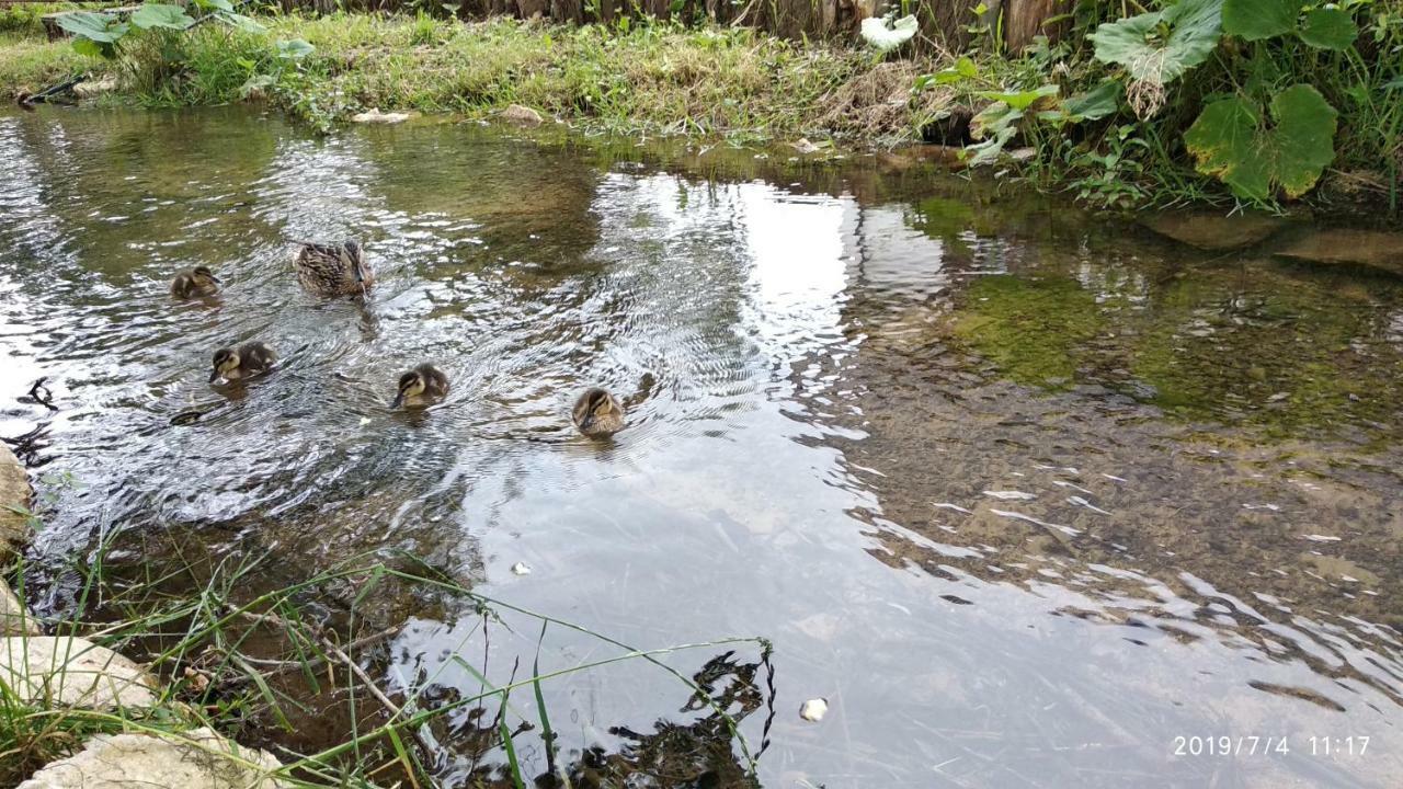 Plitvice Streaming Hotel Prijeboj Eksteriør billede